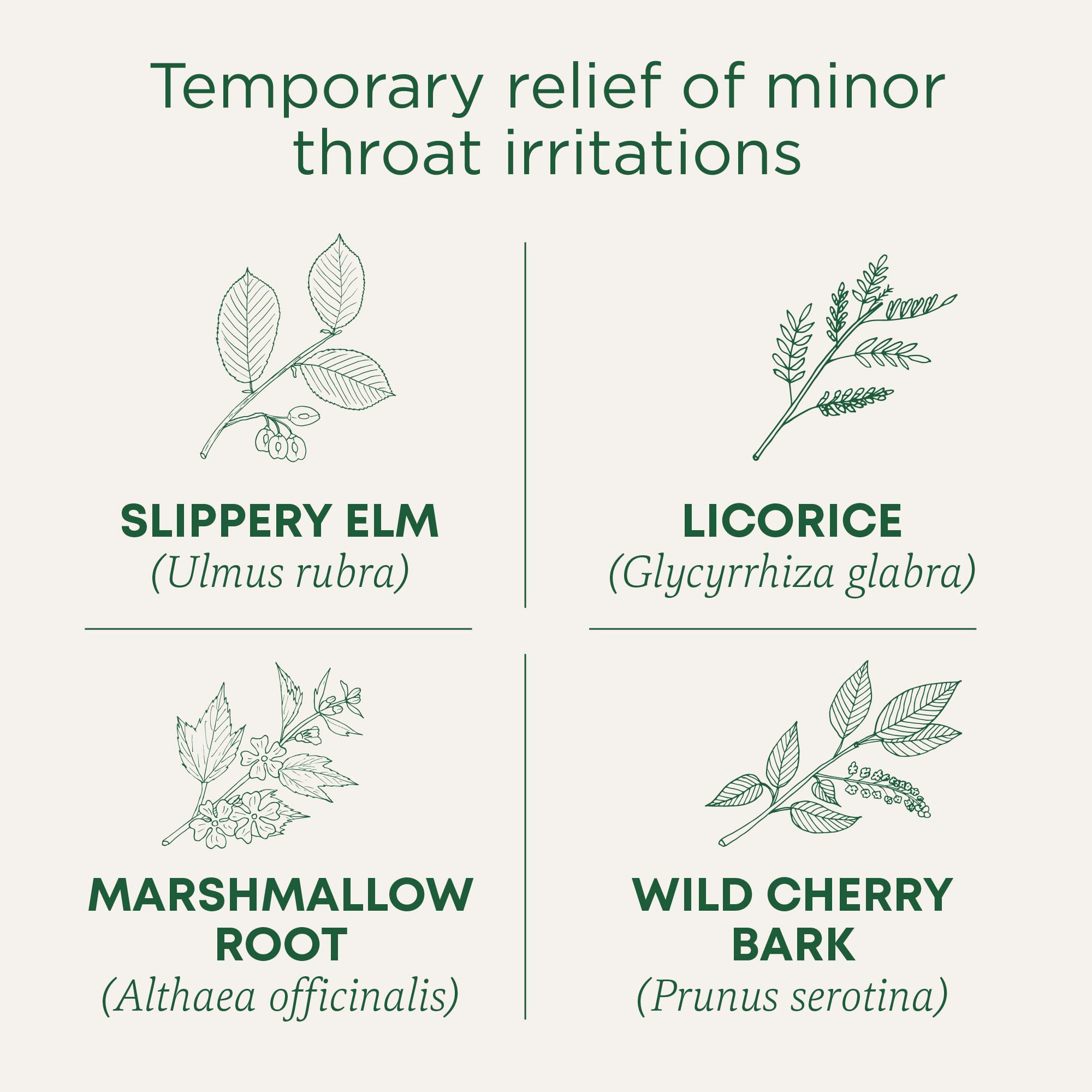 Traditional Medicinals - Organic Throat Coat (16bg)