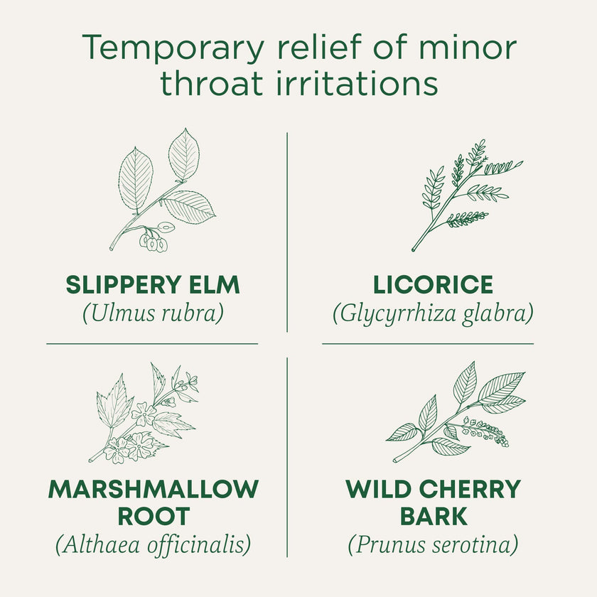 Traditional Medicinals - Organic Throat Coat (16bg)