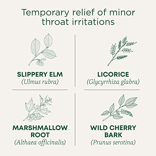Traditional Medicinals - Organic Throat Coat (16bg)
