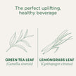 Traditional Medicinals - Organic Green Tea Matcha (16bg)