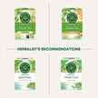 Traditional Medicinals - Organic Green Tea Matcha (16bg)
