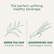 Traditional Medicinals - Organic Green Tea Matcha (16bg)