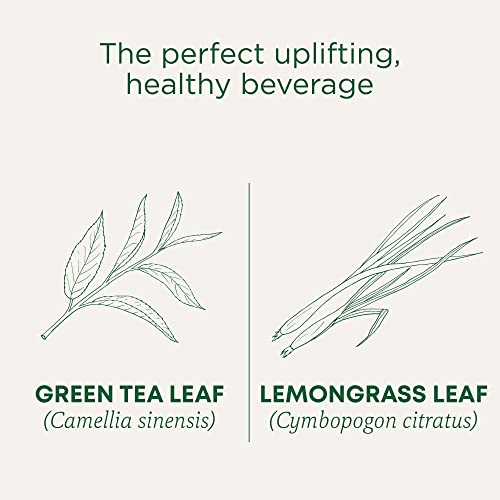 Traditional Medicinals - Organic Green Tea Matcha (16bg)