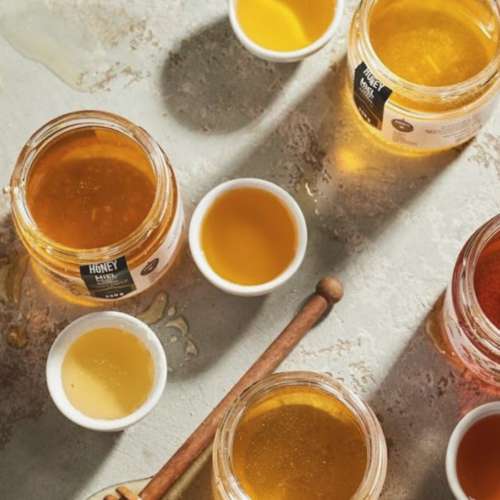 Pure Ukrainian Sunflower Honey 250g