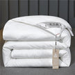 Summer Quilt Spring And Autumn Thickening Thermal Winter Duvet