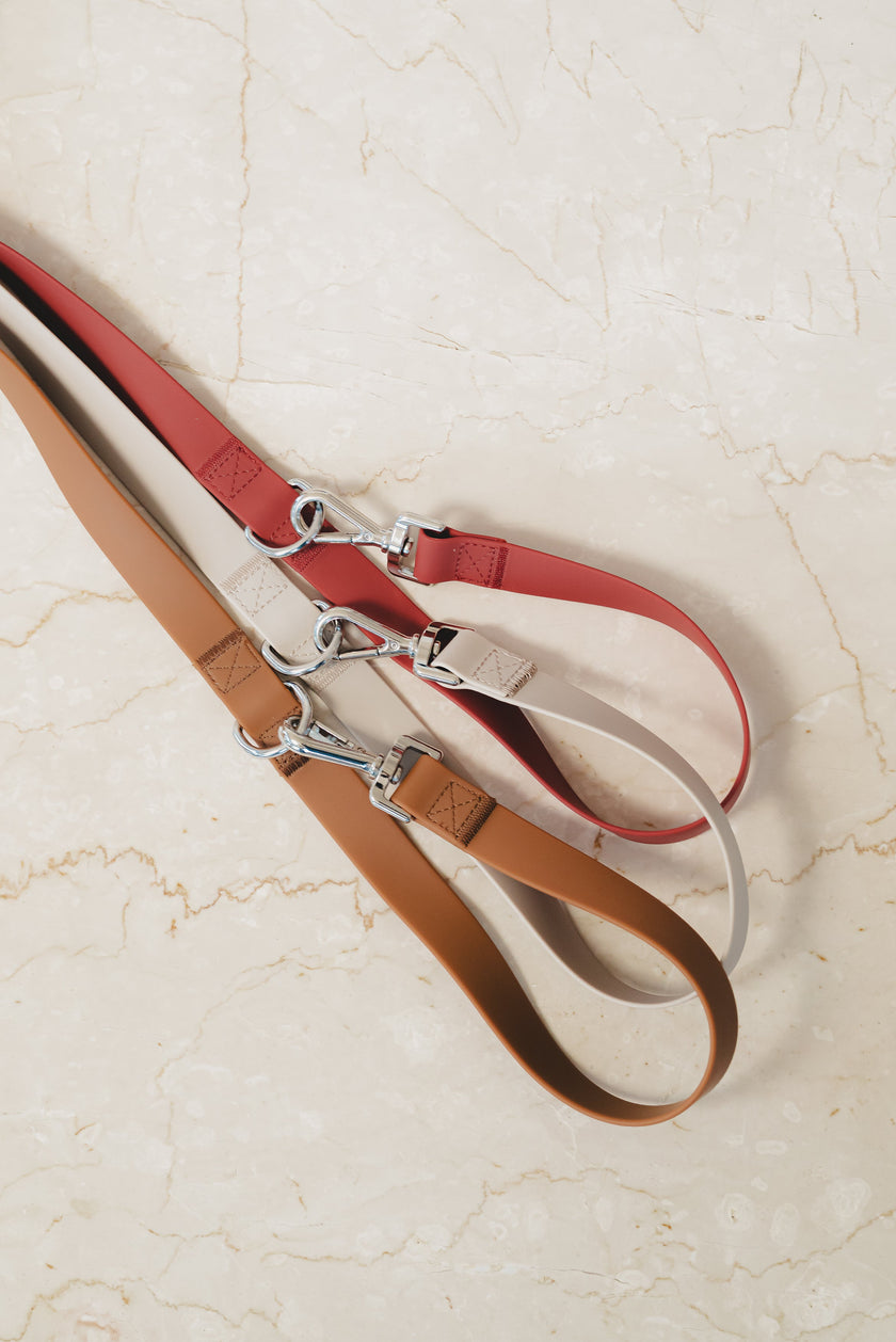 On-the-go Leash in Dulce
