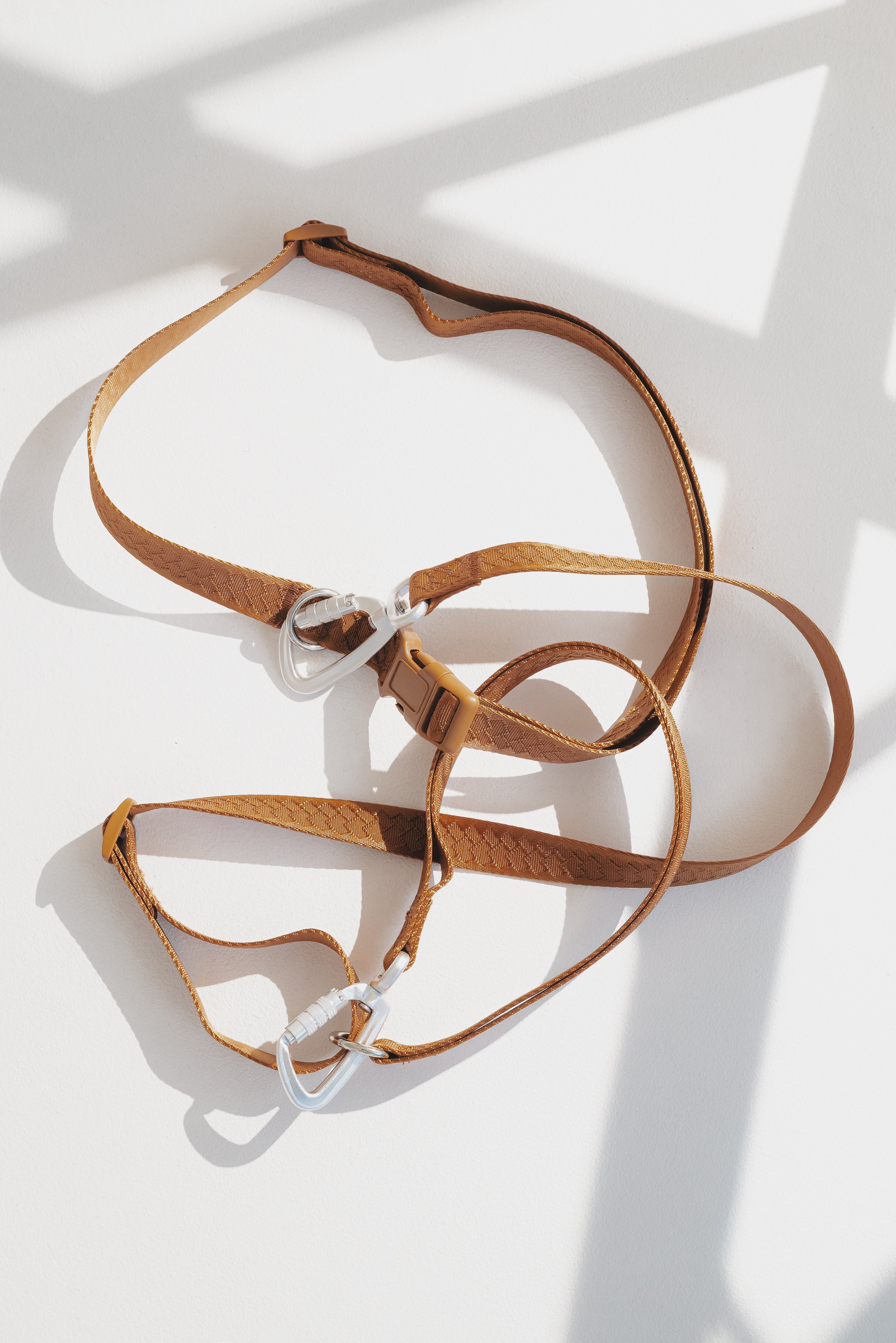 Daily Hands-Free Leash - Dulce