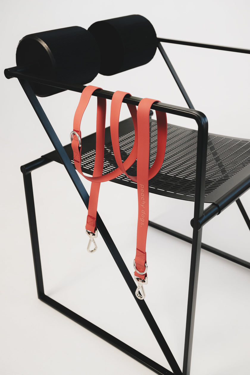 On-the-go Leash in Chestnut