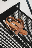 On-the-go Leash in Dulce