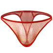 Men's Underwear Silk Spandex Briefs thong