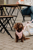 Classic 2.0 Harness Lychee