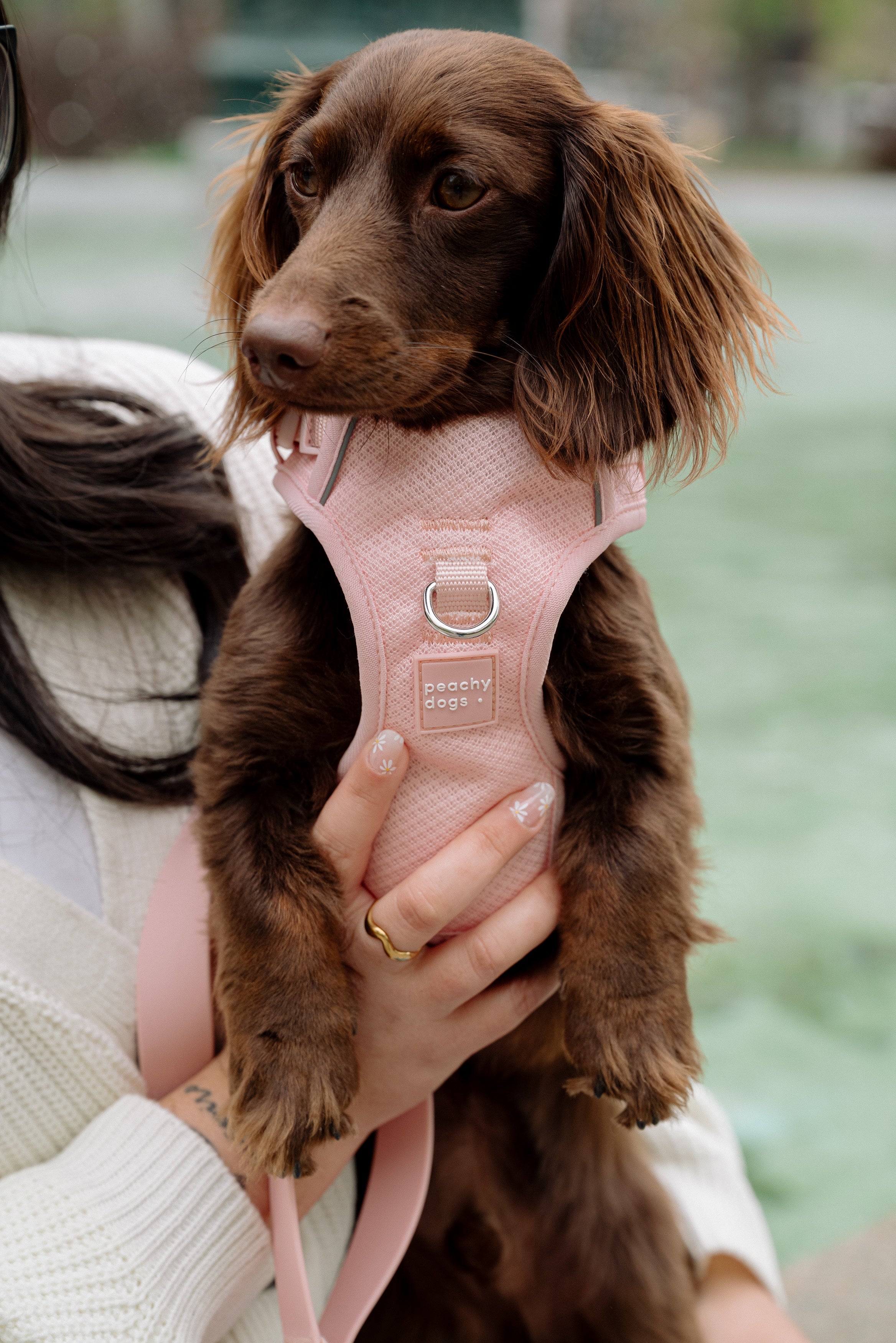 Classic 2.0 Harness Lychee