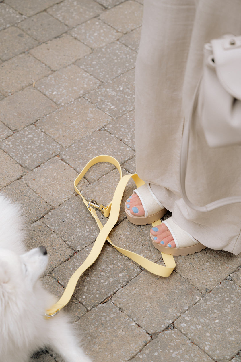On-the-go Leash in Limoncello