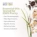 Aura Cacia - Grapeseed Oil (118ml)