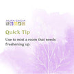 Aura Cacia - Boxed Essential Oil - Lavender (15ml)
