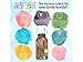 Aura Cacia - Boxed Essential Oil - Sweet Orange (15ml)