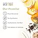 Aura Cacia - Boxed Essential Oil - Tea Tree (15ml)
