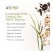 Aura Cacia - Foam Bath Shipper - Kids (72pc)
