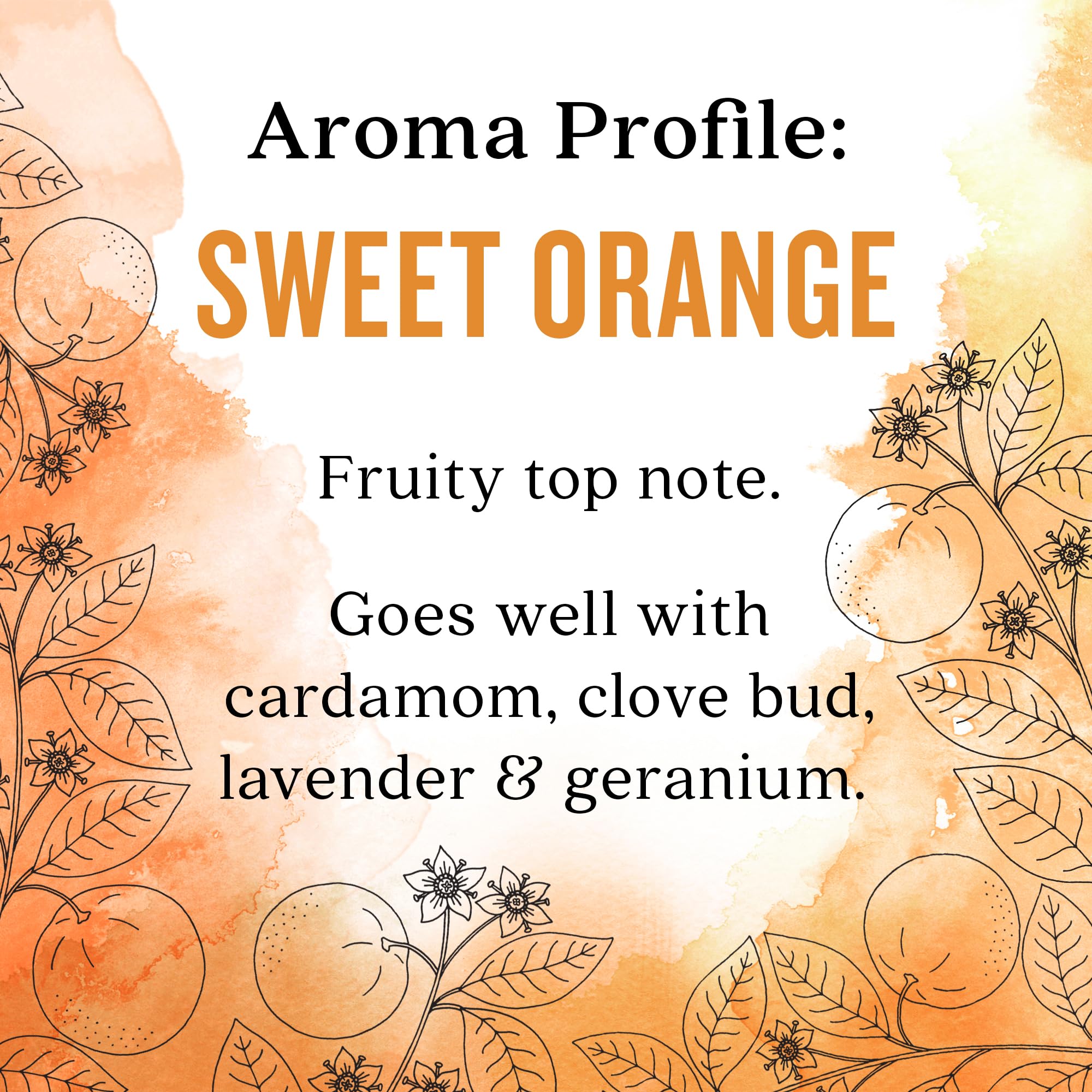 Aura Cacia - Organic Argan Oil - Boxed (30ml)