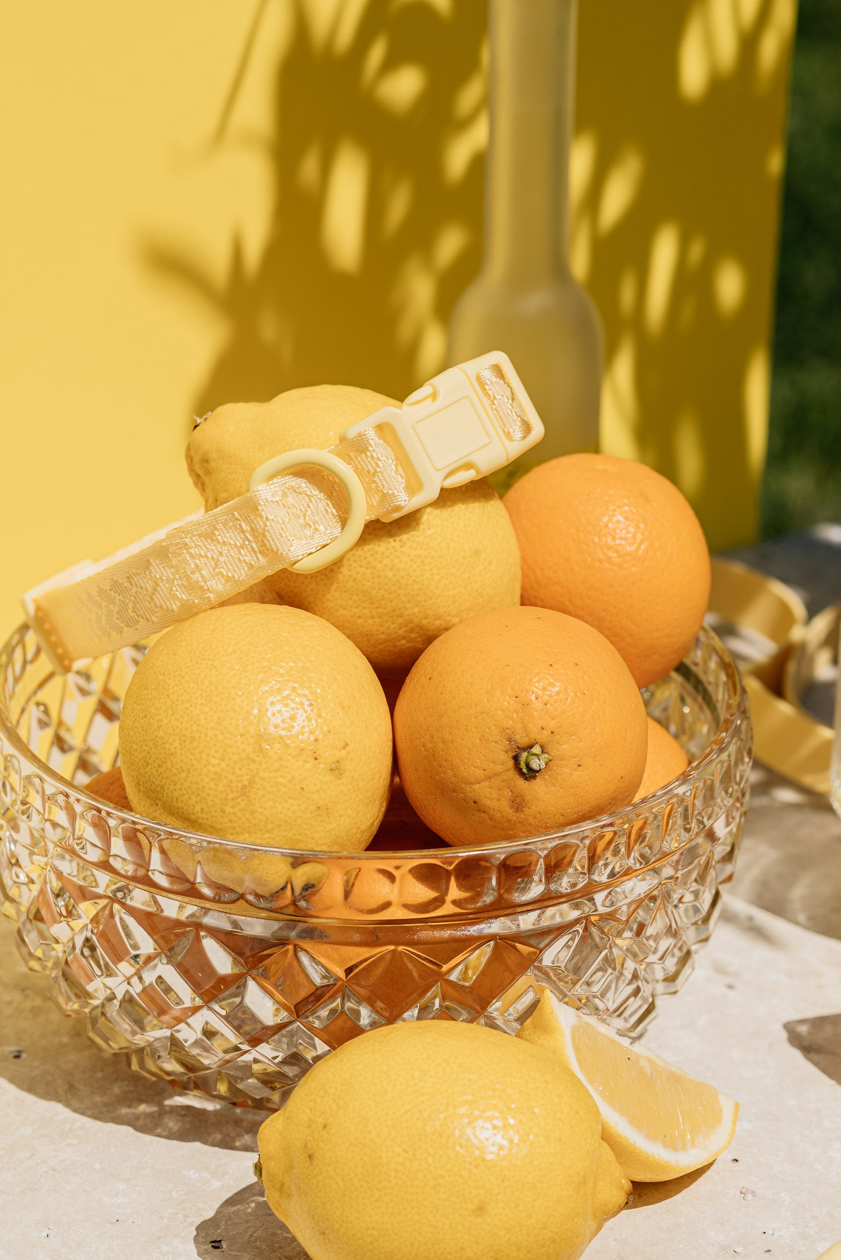 Daily Collar - Limoncello