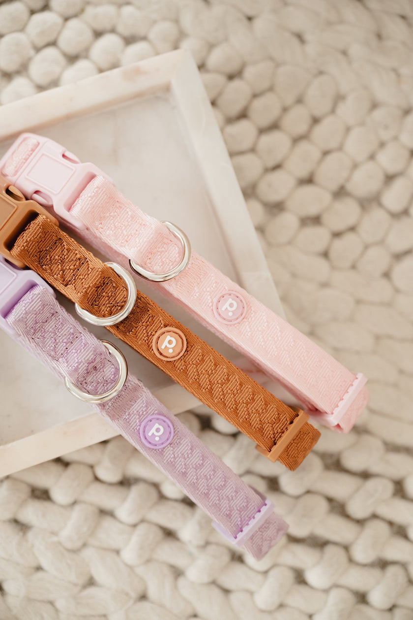 Daily Collar - Lila