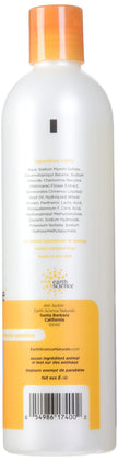 Earth Science - Fragrance Free Shampoo (355ml)