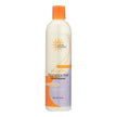 Earth Science - Fragrance Free Conditioner (355ml)