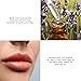 Rebels Refinery - Lip Balm Refill Pod - Vanilla (7g)