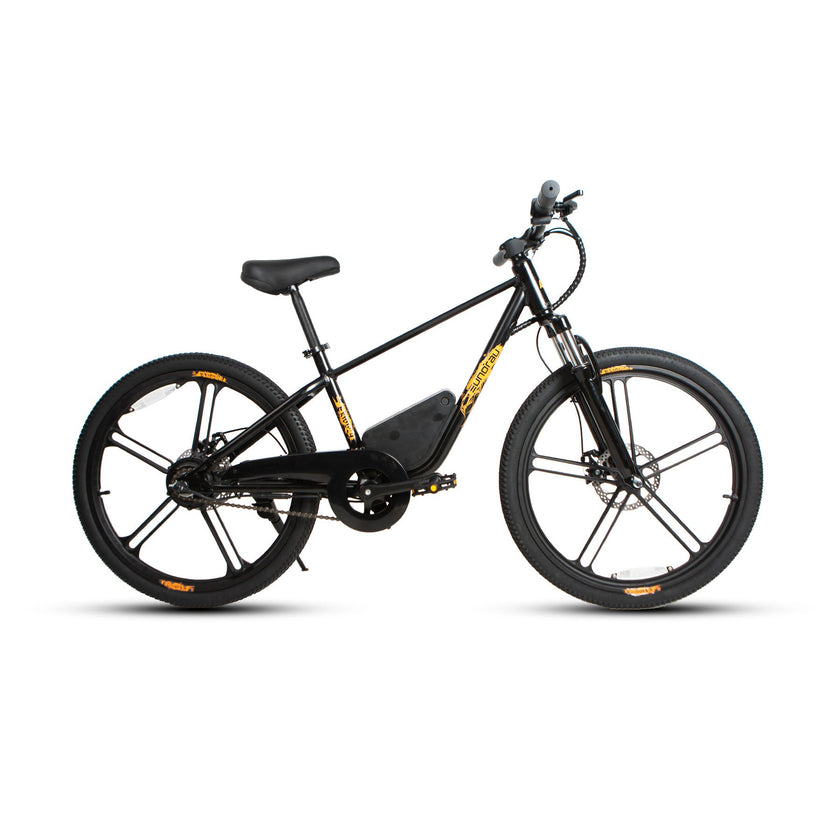 EKIDS24 1.0