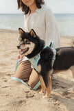 Classic 2.0 Harness Breeze