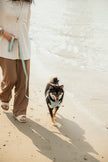 On-the-go Leash in Breeze