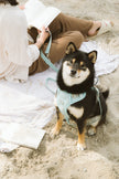 Classic 2.0 Harness Breeze