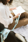 On-the-go Leash in Breeze