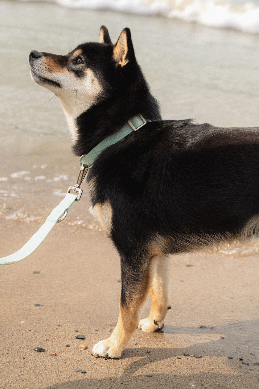 Easy Collar - Breeze