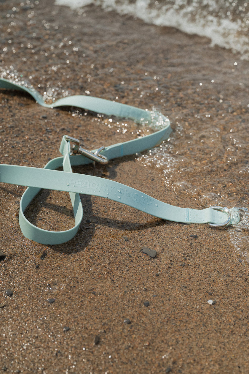 On-the-go Leash in Breeze