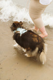Classic 2.0 Harness Breeze