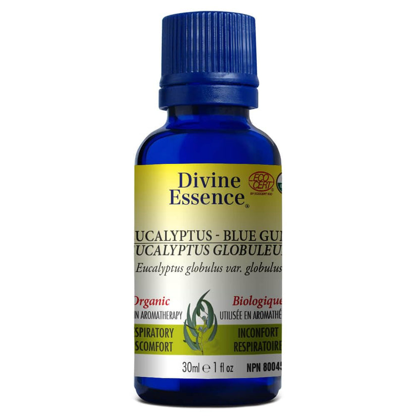 Divine Essence - AromaShell - Blue (1ea)