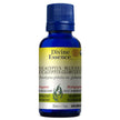 Divine Essence - AromaShell - Blue (1ea)