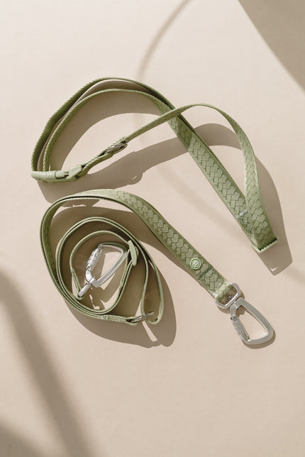 Daily Hands-Free Leash - Matcha