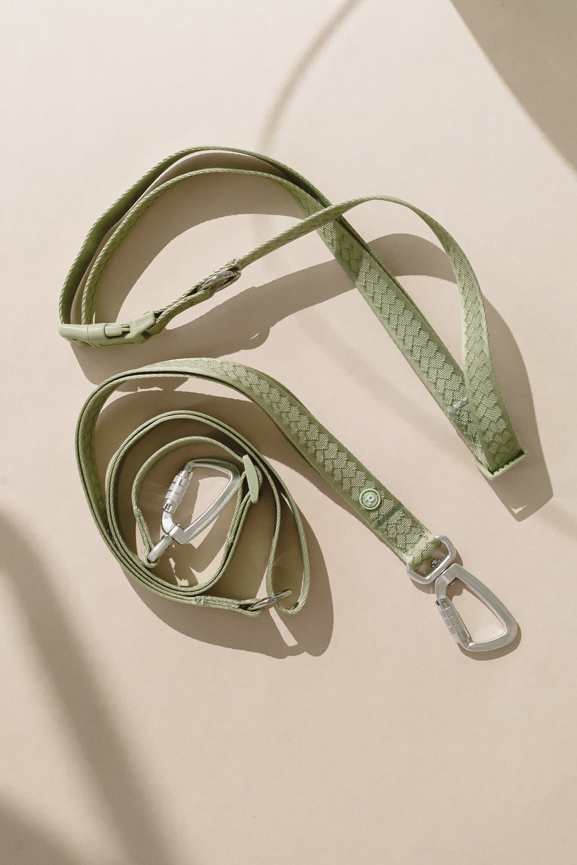 Daily Hands-Free Leash - Matcha