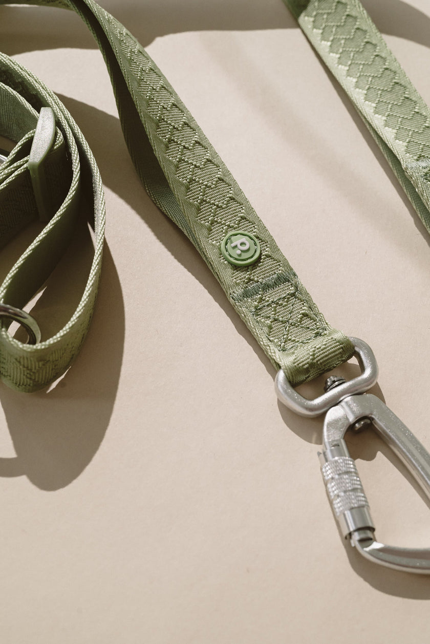 Daily Hands-Free Leash - Matcha