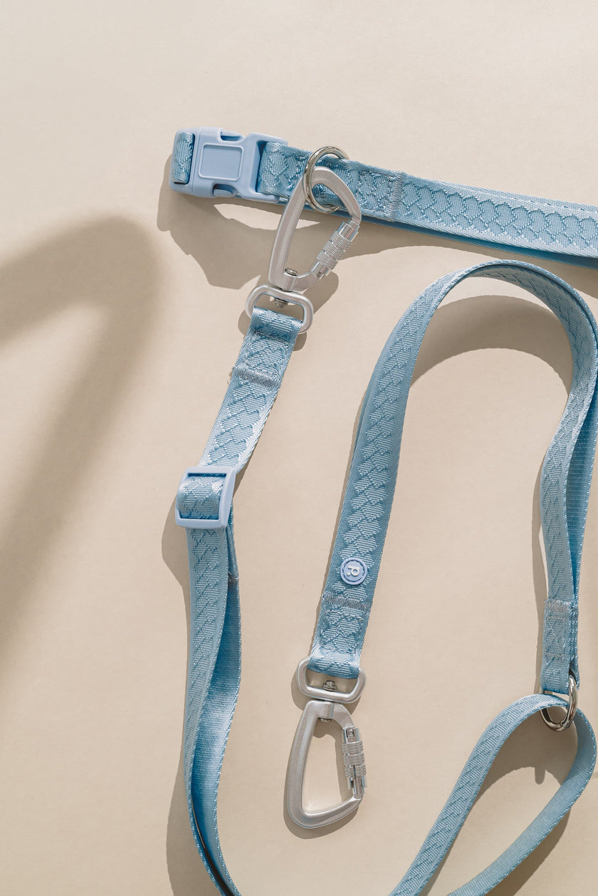 Daily Hands-Free Leash - Cloud