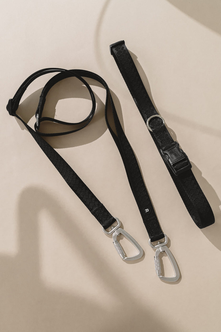Daily Hands-Free Leash - Black
