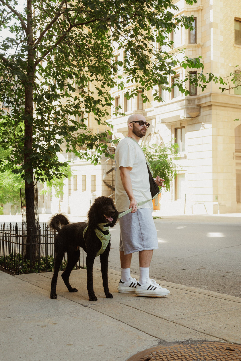 Daily Hands-Free Leash - Matcha