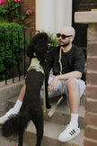 Daily Hands-Free Leash - Matcha