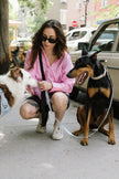 Daily Hands-Free Leash - Black