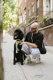 Daily Hands-Free Leash - Matcha