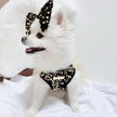 Twinkle Star Dog Dress Set | Party Dress with Matching Bow