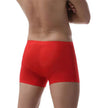 Ice Silk Transparent Elastic Boxer briefs Pant underwear for men