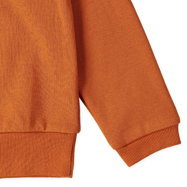 西松屋 ELFINDOLL 裏起毛ロゴワッペン風バックプリントトレーナー 正規品